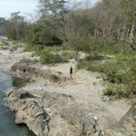 Corbett National Park