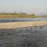 Corbett National Park