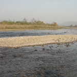 Corbett National Park