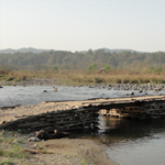 Corbett National Park