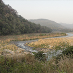 Corbett National Park