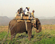 Corbett Weekend Tour Packages