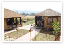 Pine Tree Village Resort