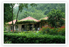 Ramganga Resort, Corbett