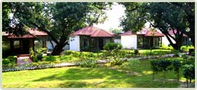 Hotels & Resorts In Corbett