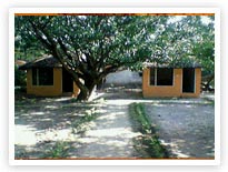 The Jungle Paradise Retreat, Corbett